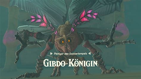 gibdo königin|Zelda: Tears of the Kingdom: Gibdo